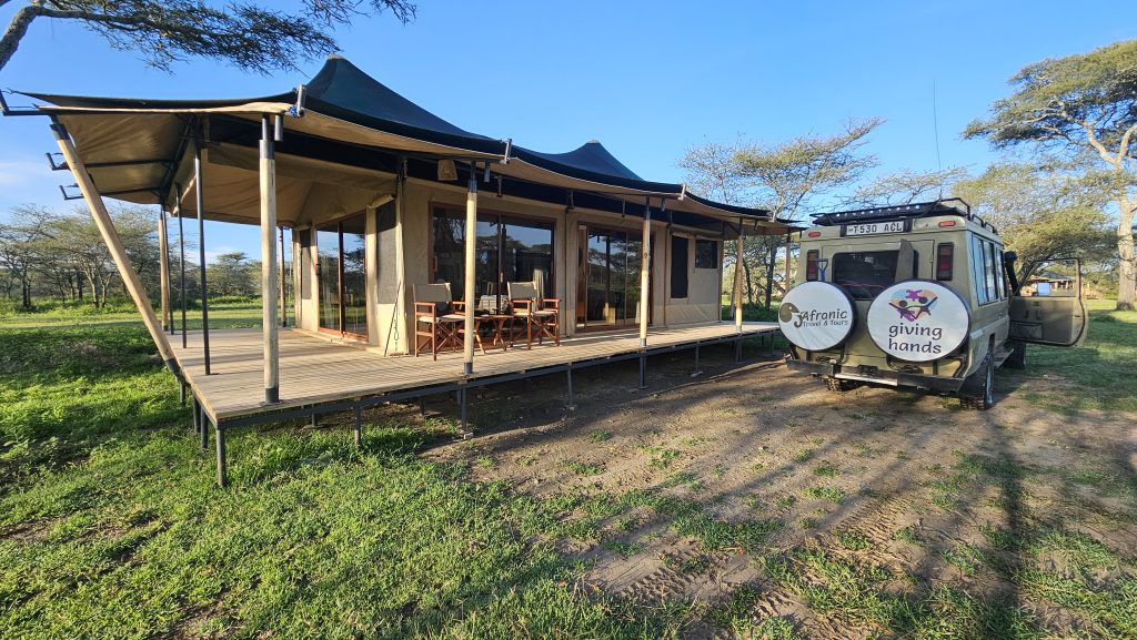Tanzania safari wildlife experience in Serengeti and Ngorongoro