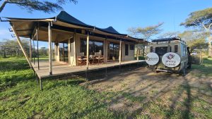 Best Time to Visit Tanzania for Safari : A Month-by-Month Guide
