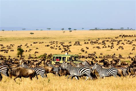 Serengeti National Park United Republic of Tanzania UNESCO | Serengeti ...